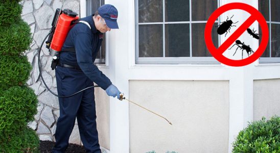 Poligon Böcek ve Haşere İlaçlama böcek ilaçlama ve haşere kontrolü — ilaclama-tr.com